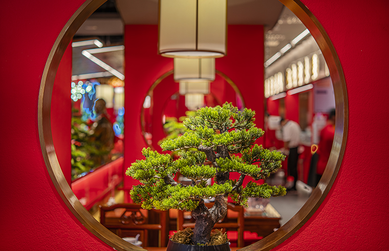 京味张北京烤鸭粤港澳大湾区之最连锁餐饮空间设计